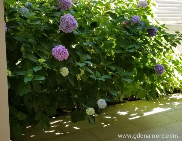 IMG-d5a29cfc3d519b7ef846b8b1597bd7f2-V