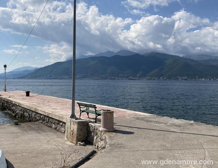 image_67159041