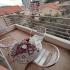 Vila Aleksandra T, , alloggi privati a Rafailovići, Montenegro - IMG_20211116_134452