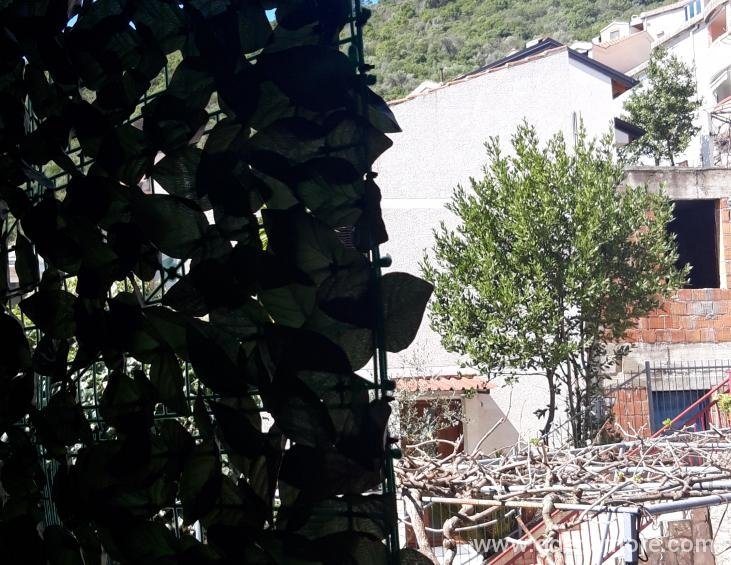 app 6 pogled