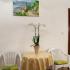 Apartmani Mira, Standardni studio, privatni smeštaj u mestu Bečići, Crna Gora - 81860121