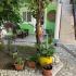 Apartamentos Lilic, , alojamiento privado en Donji Stoj, Montenegro - Ispred apartmana