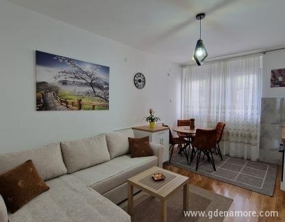 Ferienwohnungen Boro, Wohnung 1, Privatunterkunft im Ort Šušanj, Montenegro - 20230531_154442