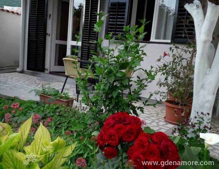 viber_image_2023-06-13_18-42-51-961