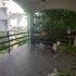 Kuća Smejkal, , private accommodation in city Sutomore, Montenegro - 06aa881f-a5b5-4f29-8101-8553afbc9303