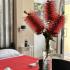 Apartmani Vujovic, , Privatunterkunft im Ort Zelenika, Montenegro - IMG_1365
