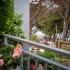 Apartmaji Romilda Makarska, Apartment Romy (A4 +4) .. 20 meters from the sea, zasebne nastanitve v mestu Makarska, Hrvaška - IMG_1246
