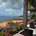 Apartmani Grloman, , private accommodation in city Sveti Stefan, Montenegro - 33376980