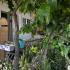Apartmani Centar Pogled, Apartman Jana, privatni smeštaj u mestu Igalo, Crna Gora - IMG_5384