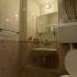 ZORKO FRANETA APARTMANOK, Nyolc, Magán szállás a községben Budva, Montenegró - 1