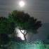 Villa Oasis, alloggi privati a Nea Potidea, Grecia - full moon