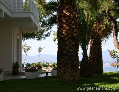 Posidonia Pension, Privatunterkunft im Ort Amarinthos, Griechenland - Hotel Frontyard