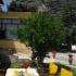 Odysseon, private accommodation in city Rest of Greece, Greece - Odysseon