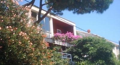 Pine tree, private accommodation in city Dubrovnik, Croatia