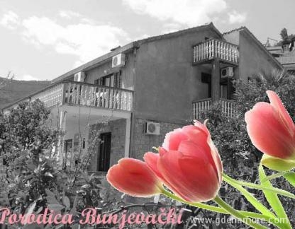 Porodica Bunjevački, Apartman 1, Privatunterkunft im Ort Budva, Montenegro - Kuca/The house