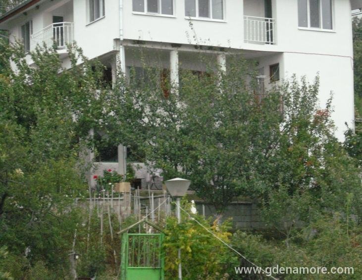 the house accomodation