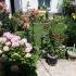 Apartmani Bogdanoski, alloggi privati a Ohrid, Mac&eacute;doine