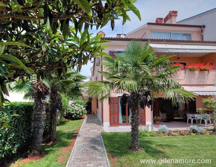 Apartments Brigita