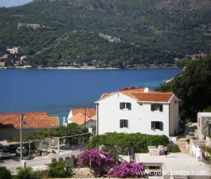 Villa Doris Štikovica Dubrovnik, private accommodation in city Dubrovnik, Croatia