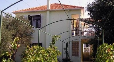 Apartments Jadranka Bibinje, private accommodation in city Bibinje, Croatia