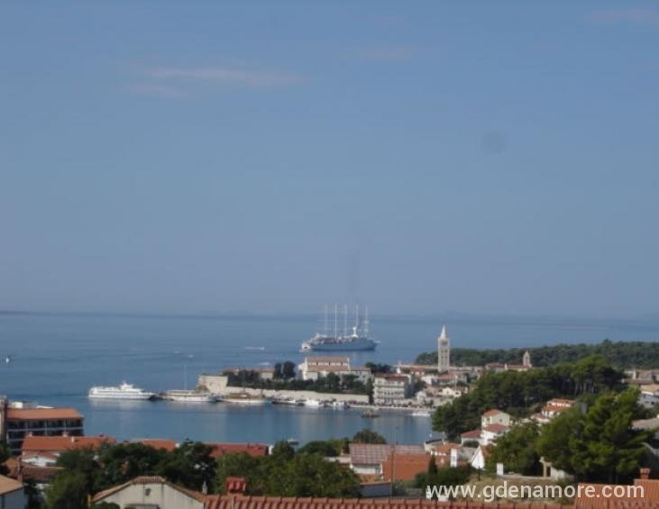 pogled