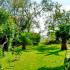 Apartments Igalo, private accommodation in city Igalo, Montenegro