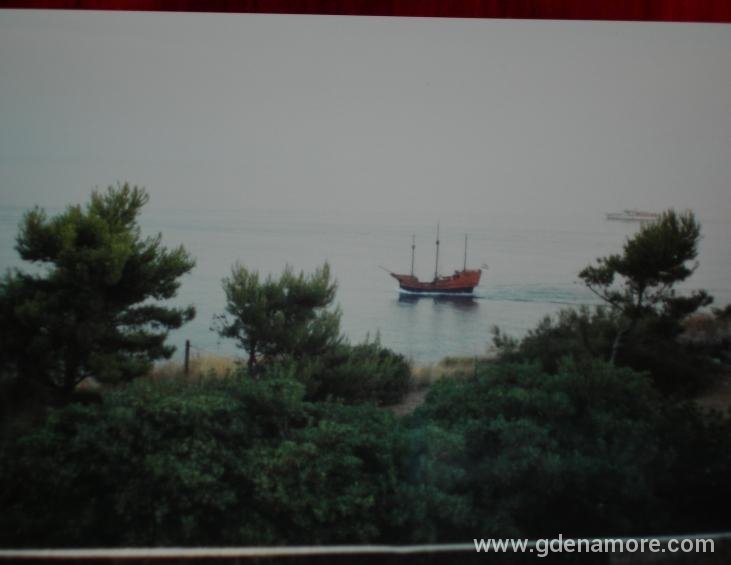pogled