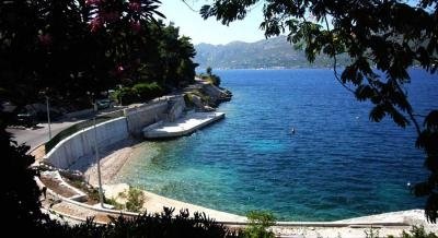 Appartamenti Didovic, alloggi privati a Korčula, Croazia