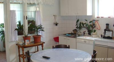 Apartamentos tradicionales Marija en Ugljan, alojamiento privado en Ugljan, Croacia