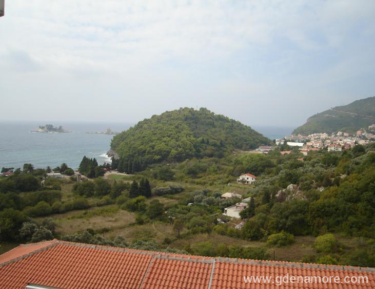 Pogled