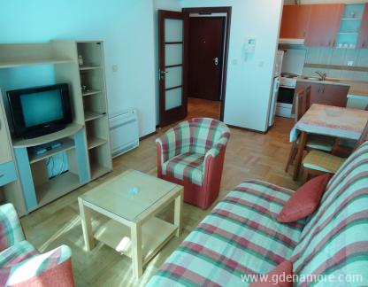 Stan Budva, privatni sme&scaron;taj u mestu Budva, Crna Gora