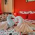 DE LUXE APARTMANE -CENTAR OHRID(pored jezera), Privatunterkunft im Ort Ohrid, Mazedonien
