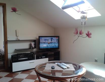 Apartman Spasojevic, alloggi privati a Budva, Montenegro