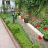 Villa Monte, privat innkvartering i sted Budva, Montenegro