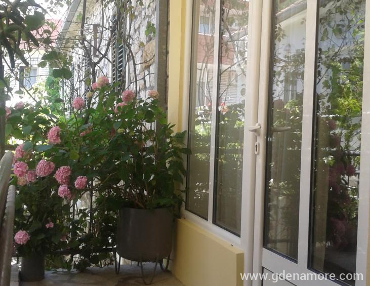 Apartman br. 4
