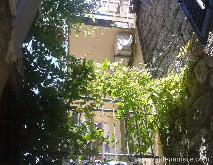 Apartman br. 3