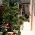 Apartmani, alojamiento privado en Herceg Novi, Montenegro - Basta 1
