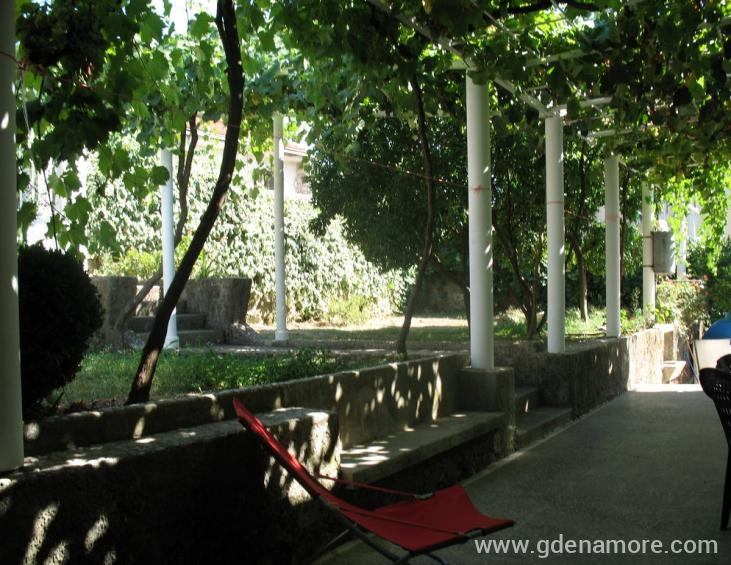 Apartmani i sobe VEGA
