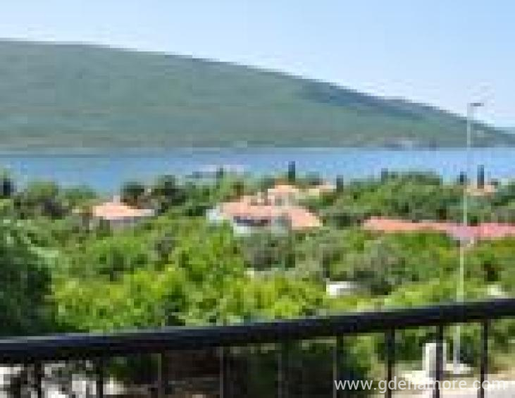Pogled