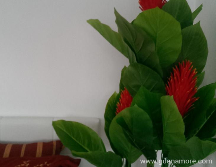 cetvorokrevetni na obali