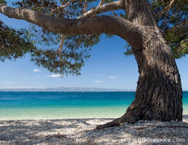 Plaža - onako, ima hlada 