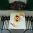 Guest House Igalo, Privatunterkunft im Ort Igalo, Montenegro - Dvoriste / Yard