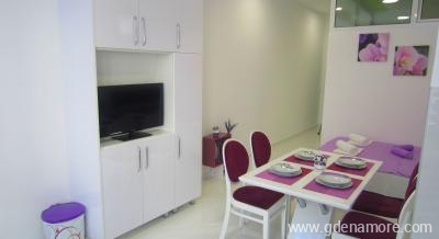 Apartmani &bdquo;BISER&ldquo; Bečići, privatni sme&scaron;taj u mestu Bečići, Crna Gora