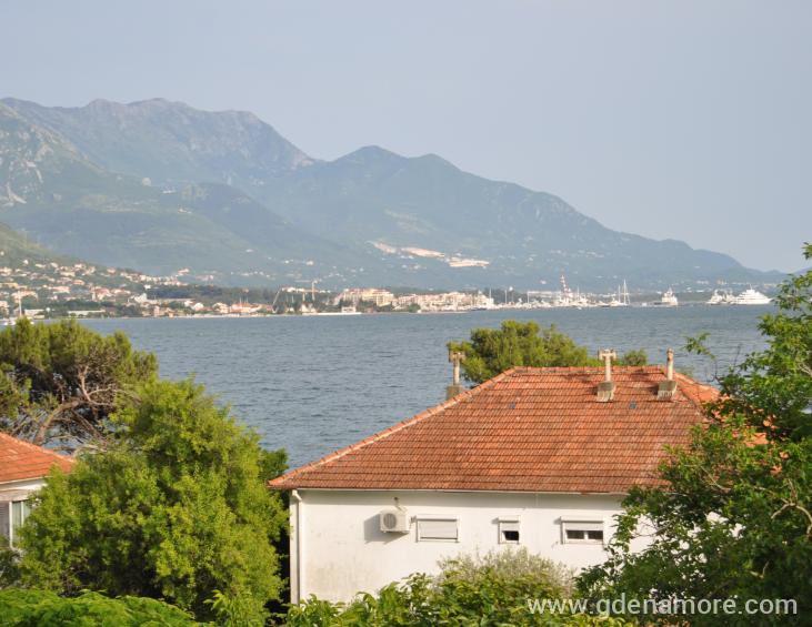 Pogled
