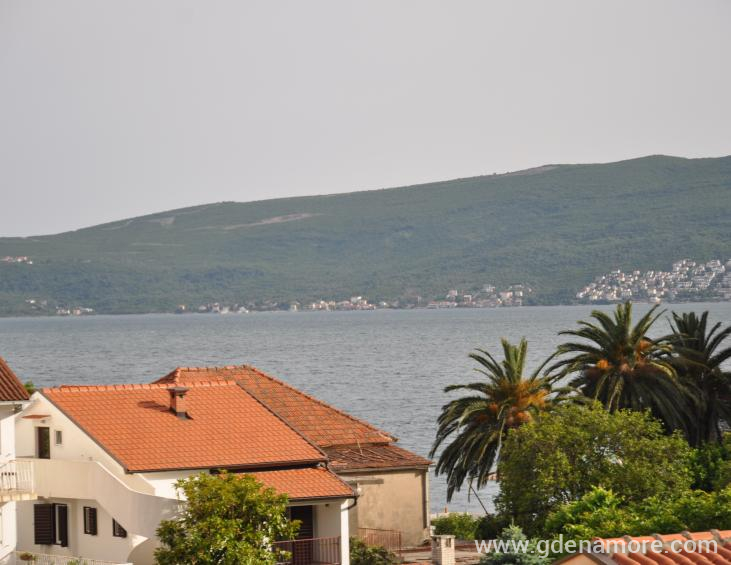 Pogled