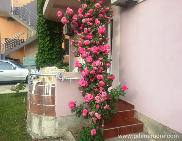 apartman 3