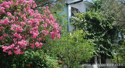 Apartmani Vujosevic , privatni sme&scaron;taj u mestu &Scaron;u&scaron;anj, Crna Gora