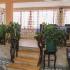 Apartmani Martinović, privatni sme&scaron;taj u mestu Dobre Vode, Crna Gora - Apartmani_Martinovic_98