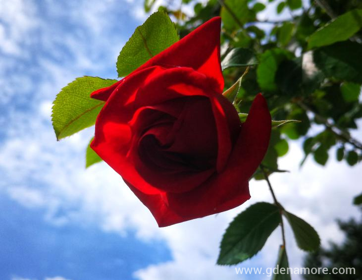 IMG_20190510_121401-01