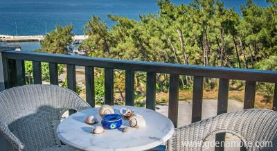 Hotel Leandros, alojamiento privado en Nea Rodha, Grecia